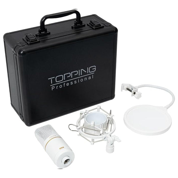TOPPING Professional CL101 – e☆イヤホン