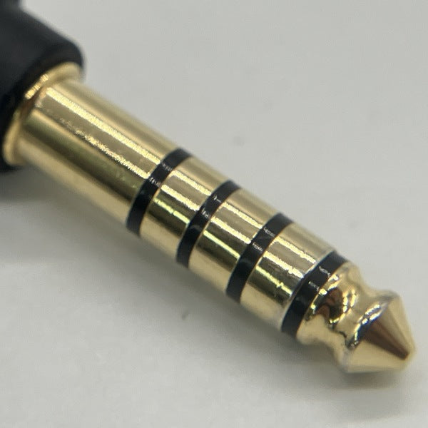 Sony(Just ear) 【中古】XJE-MHRWM1M2B J NW-WM1ZM2チューニング