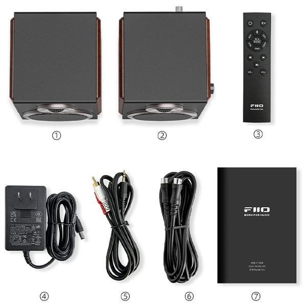 FIIO SA1 – e☆イヤホン