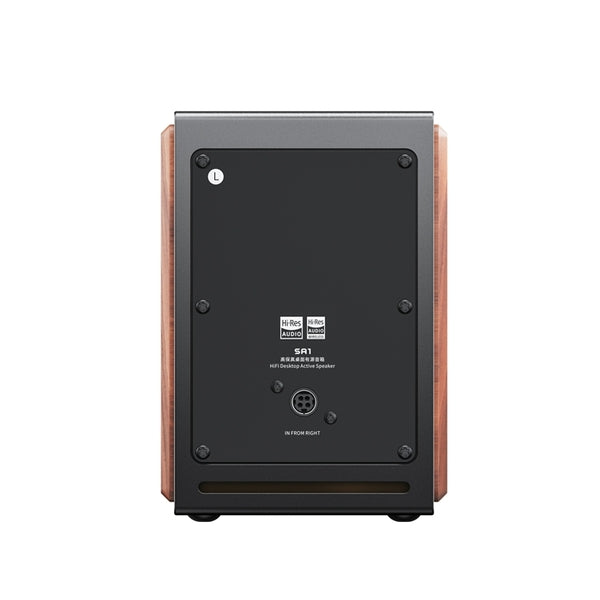 FIIO SA1 – e☆イヤホン