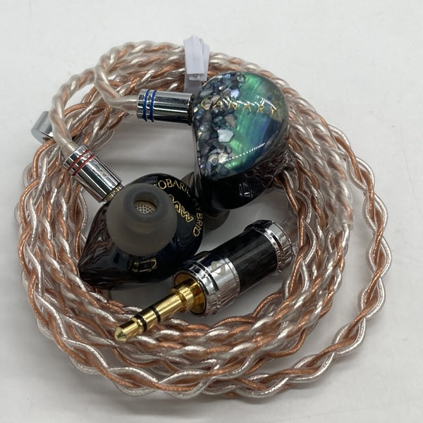AAW 【中古】Canary(Universal fit)【日本橋】 – e☆イヤホン