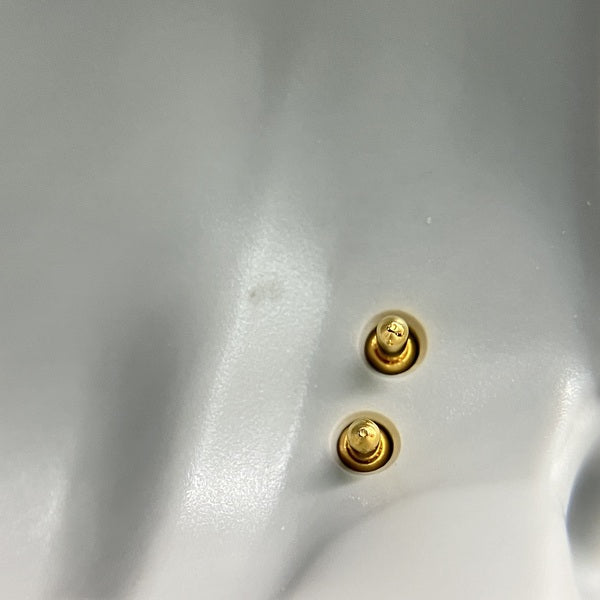 【中古】Svanar Wireless LE【名古屋】