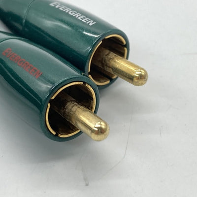 【中古】audioquest EverGreen【日本橋】