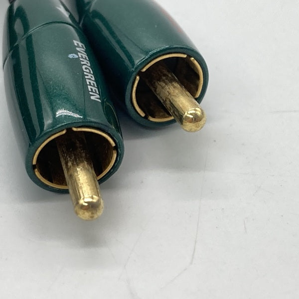 【中古】audioquest EverGreen【日本橋】