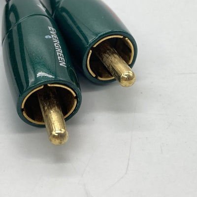 【中古】audioquest EverGreen【日本橋】