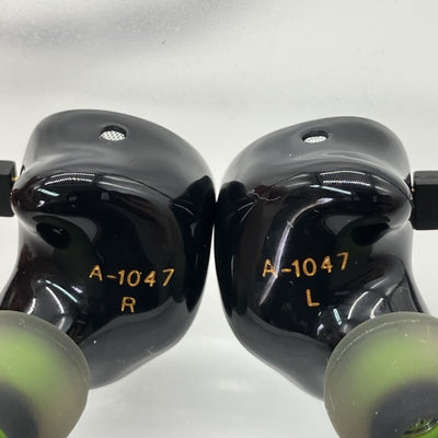 【中古】Kiwi Ears x HBB Punch【秋葉原】