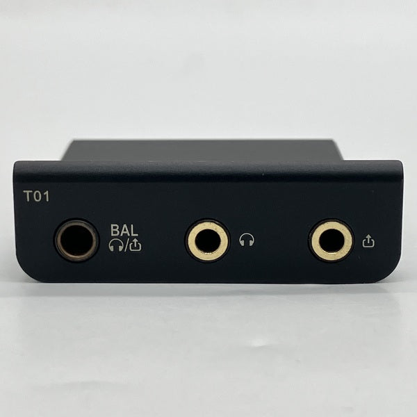 【中古】Cayin T01オーディオマザーボード・デュアルPCM1792A DAC搭載【秋葉原】