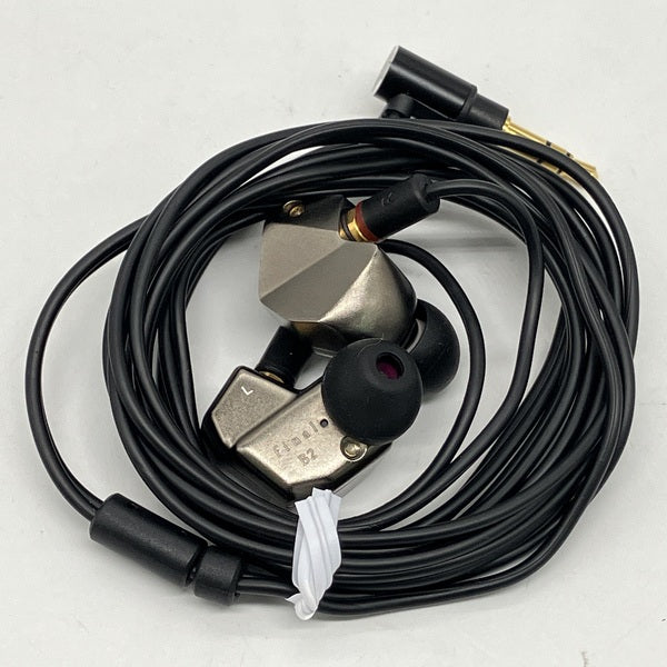 イヤホン final B2 FI-B2BSSD Amazon.com: Final B2 Sound Isolating in-Ear Headphones