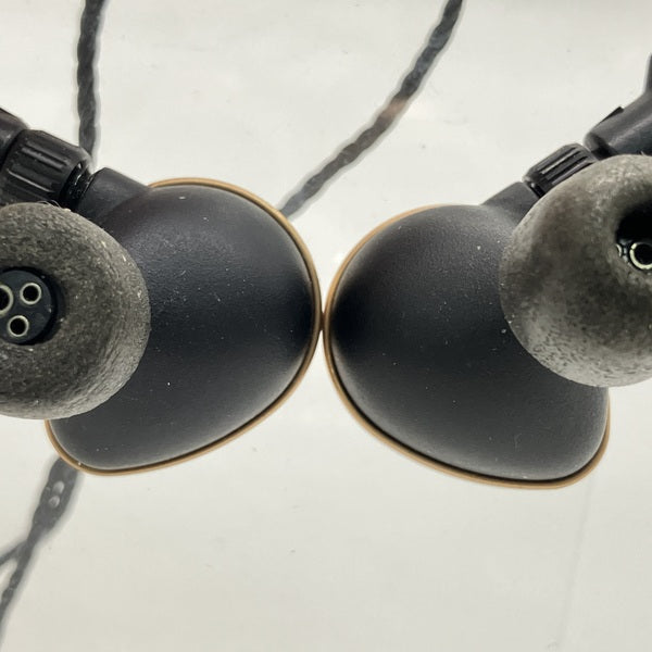 JH Audio ROSIE 訳あり品 Astell&Kern 【中古】IEM-JH Audio THE SIREN SERIES-Rosie