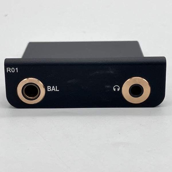 【中古】R01 オーディオマザーボード・R-2Rラダー型DAC搭載【秋葉原】