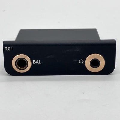 【中古】R01 オーディオマザーボード・R-2Rラダー型DAC搭載【秋葉原】
