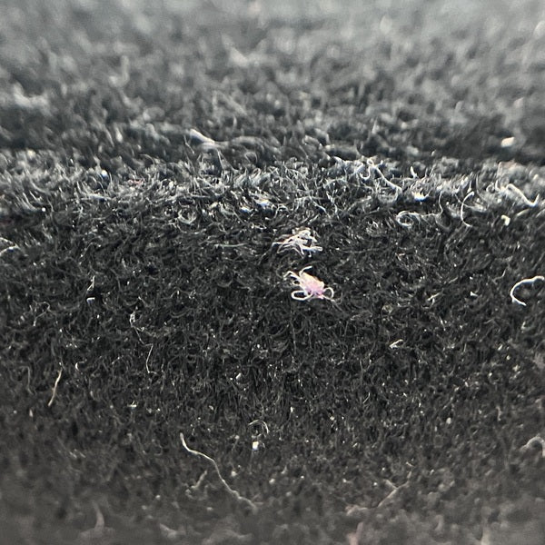【中古】ATH-AD2000X【日本橋】
