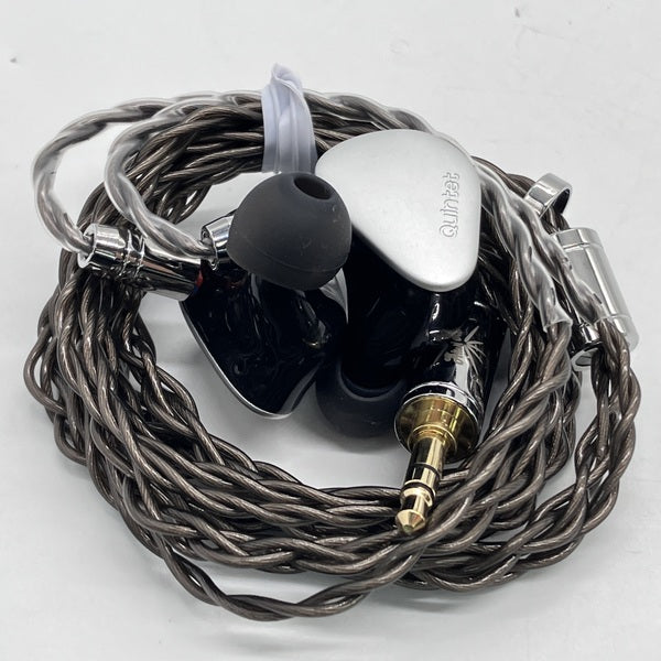 Kiwi Ears Quintet 有線イヤホン　中古美品 Kiwi Ears Quintet 有線イヤホン 中古美品 Kiwi Ears Quintet