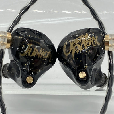 【中古】Whizzer OS1 Pro【仙台】