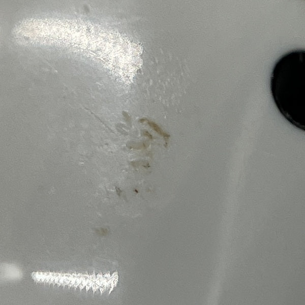 【中古】airpods （L側）(第2世代)【秋葉原】
