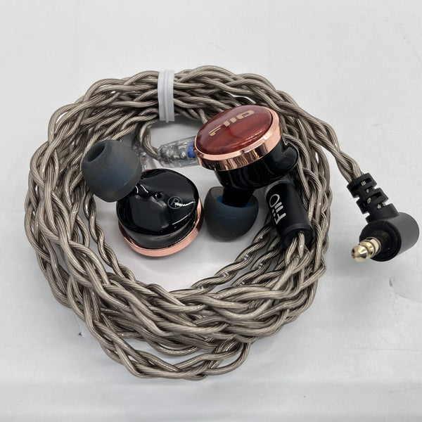 【中古】FP3 Rosewood 【FIO-IEM-FP3-R】【秋葉原】