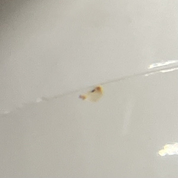 【中古】S-LIVE30 ホワイト 【SL30WH】【日本橋】