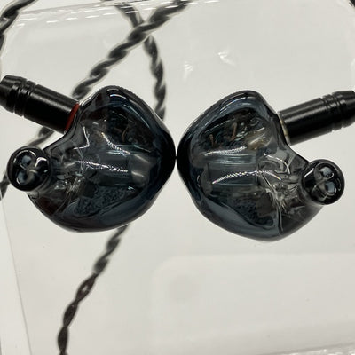 【中古】Forteza Black【名古屋】
