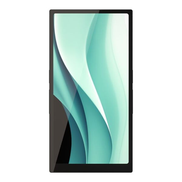 R6 Pro II (2025)