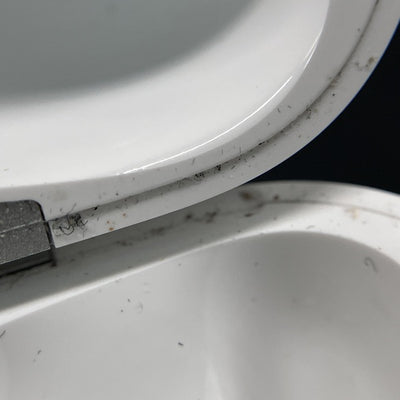 【中古】MagSafe充電ケース(USB-C)付きAirPods Pro(第2世代) MTJV3JA【名古屋】