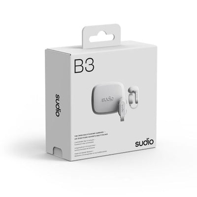B3