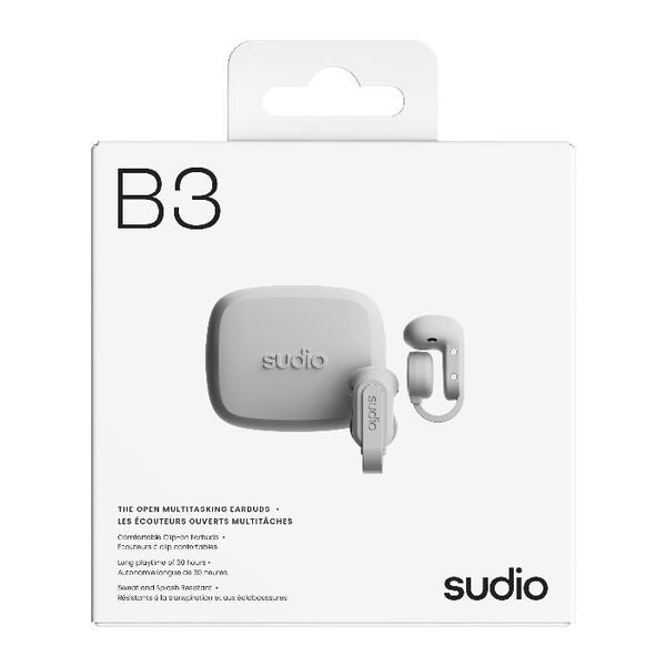B3