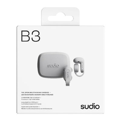 B3