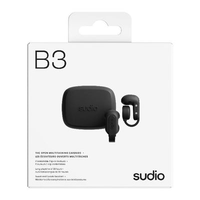 B3