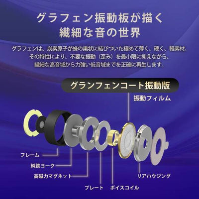 ノイズキャンセリングType-Cイヤホン 【HSE-A2000NC-BK】