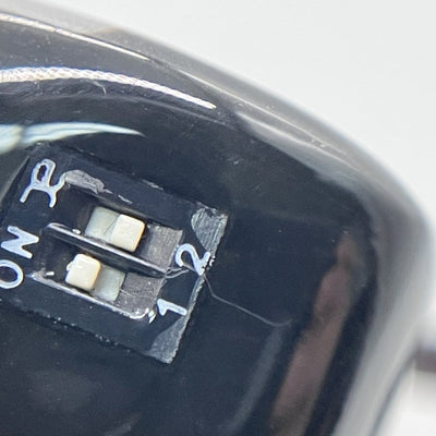 【中古】Butastur【日本橋】