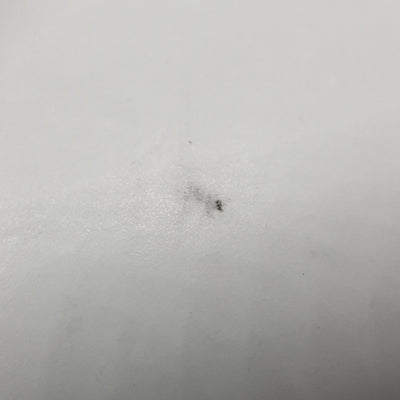 【中古】Pi7S2/CW キャンバス･ホワイト【秋葉原】