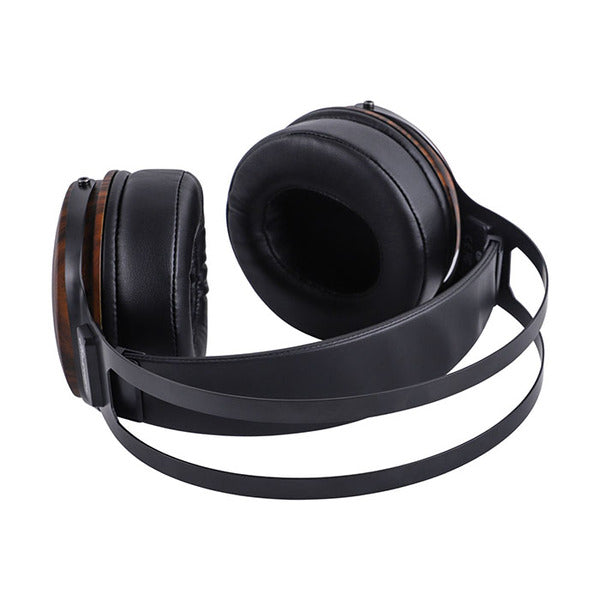 Kiwi Ears Altruva – e☆イヤホン