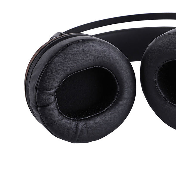 Kiwi Ears Altruva – e☆イヤホン