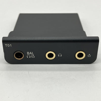 【中古】Cayin T01オーディオマザーボード・デュアルPCM1792A DAC搭載【秋葉原】