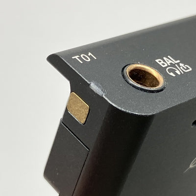 【中古】Cayin T01オーディオマザーボード・デュアルPCM1792A DAC搭載【秋葉原】