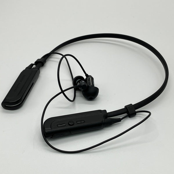 【中古】CARBO TENORE WIRELESS 【ZH-DX200-BT】【日本橋】