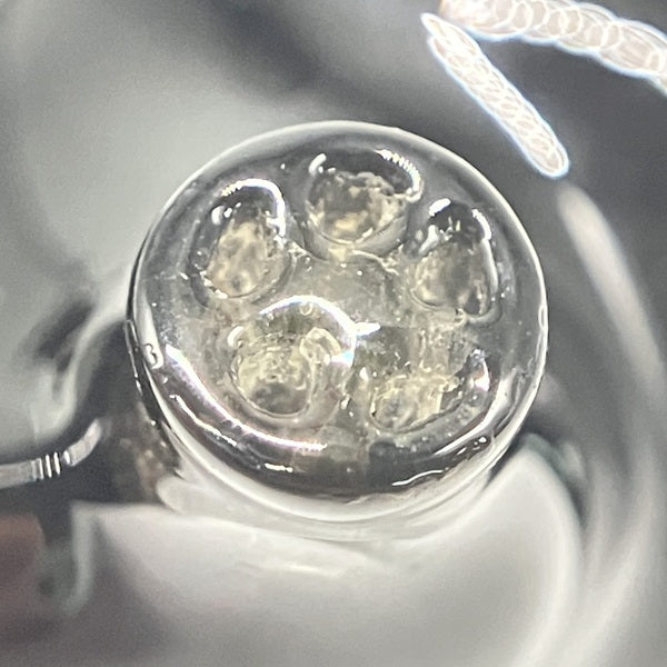 【中古】RAVEN Launch Edition 【EMP-RAVEN-GD】【秋葉原】