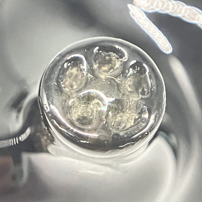 【中古】RAVEN Launch Edition 【EMP-RAVEN-GD】【秋葉原】