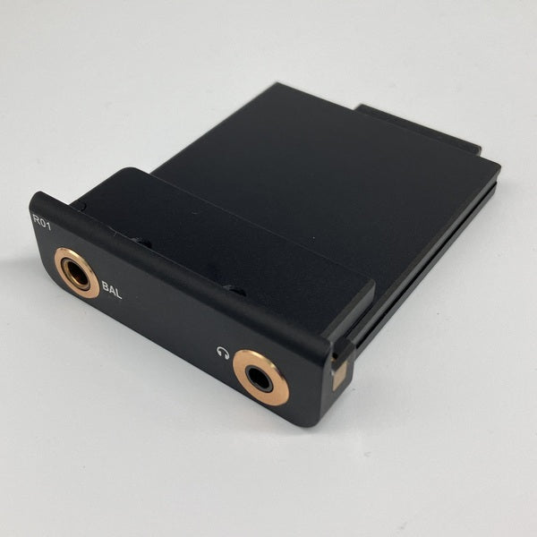 【中古】R01 オーディオマザーボード・R-2Rラダー型DAC搭載【日本橋】