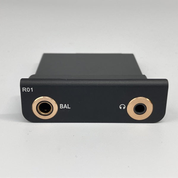 【中古】R01 オーディオマザーボード・R-2Rラダー型DAC搭載【日本橋】