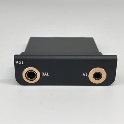 【中古】R01 オーディオマザーボード・R-2Rラダー型DAC搭載【日本橋】