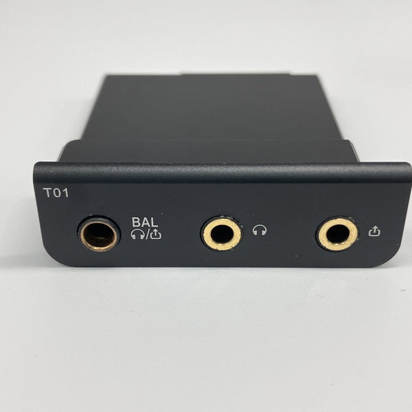 【中古】Cayin T01オーディオマザーボード・デュアルPCM1792A DAC搭載【日本橋】