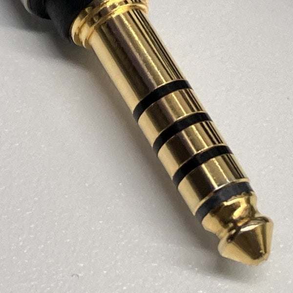 【中古】06シリーズ 4.4(5極)-2pin(CIEM) (L/R)【iect_06_bl4c_120】【秋葉原】