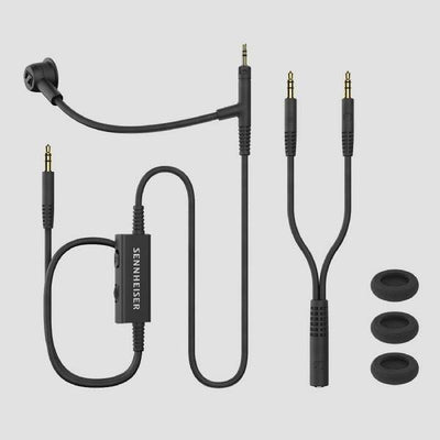 HD 500 BAM 【700456】