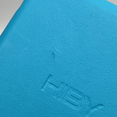 【中古】HiBy R2 II(Gen2)用レザーケース【秋葉原】