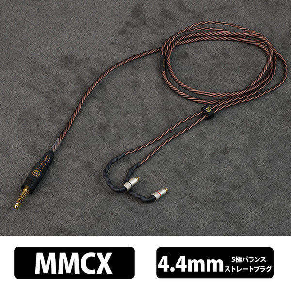 Brise Audio BSEP for A10000 – e☆イヤホン