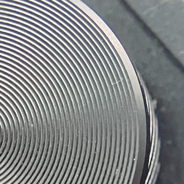 【中古】D16 TAIPAN【名古屋】