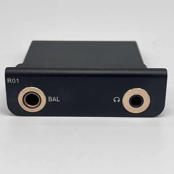 【中古】R01 オーディオマザーボード・R-2Rラダー型DAC搭載【名古屋】