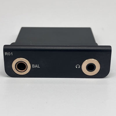 【中古】R01 オーディオマザーボード・R-2Rラダー型DAC搭載【名古屋】