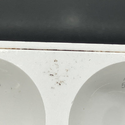 【中古】AirPods Pro 充電ケース【名古屋】